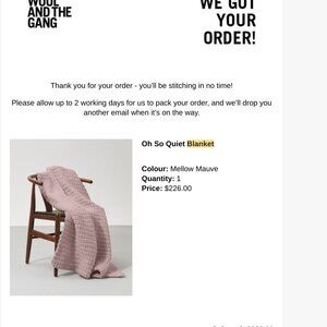 wool and the gang crochet kit